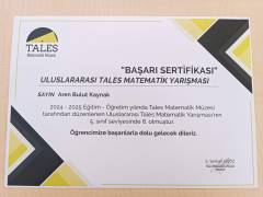 Evrensel Kolej